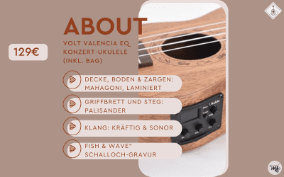 ABOUT: Volt Valencia EQ Konzert-Ukulele