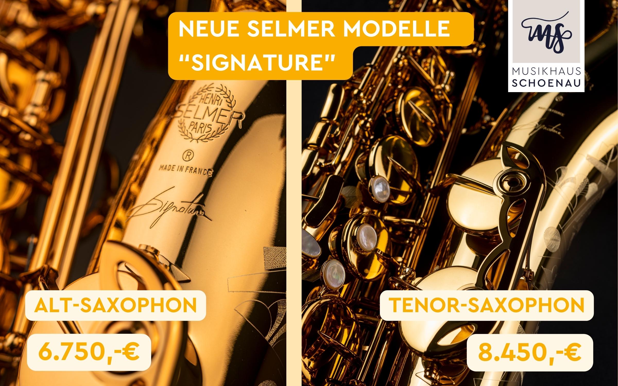 Neue-Selmer-Modelle-Signature